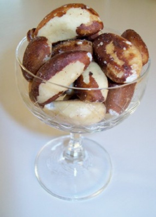 Sannel in a Nutshell Increase Your Libido the Natural Way