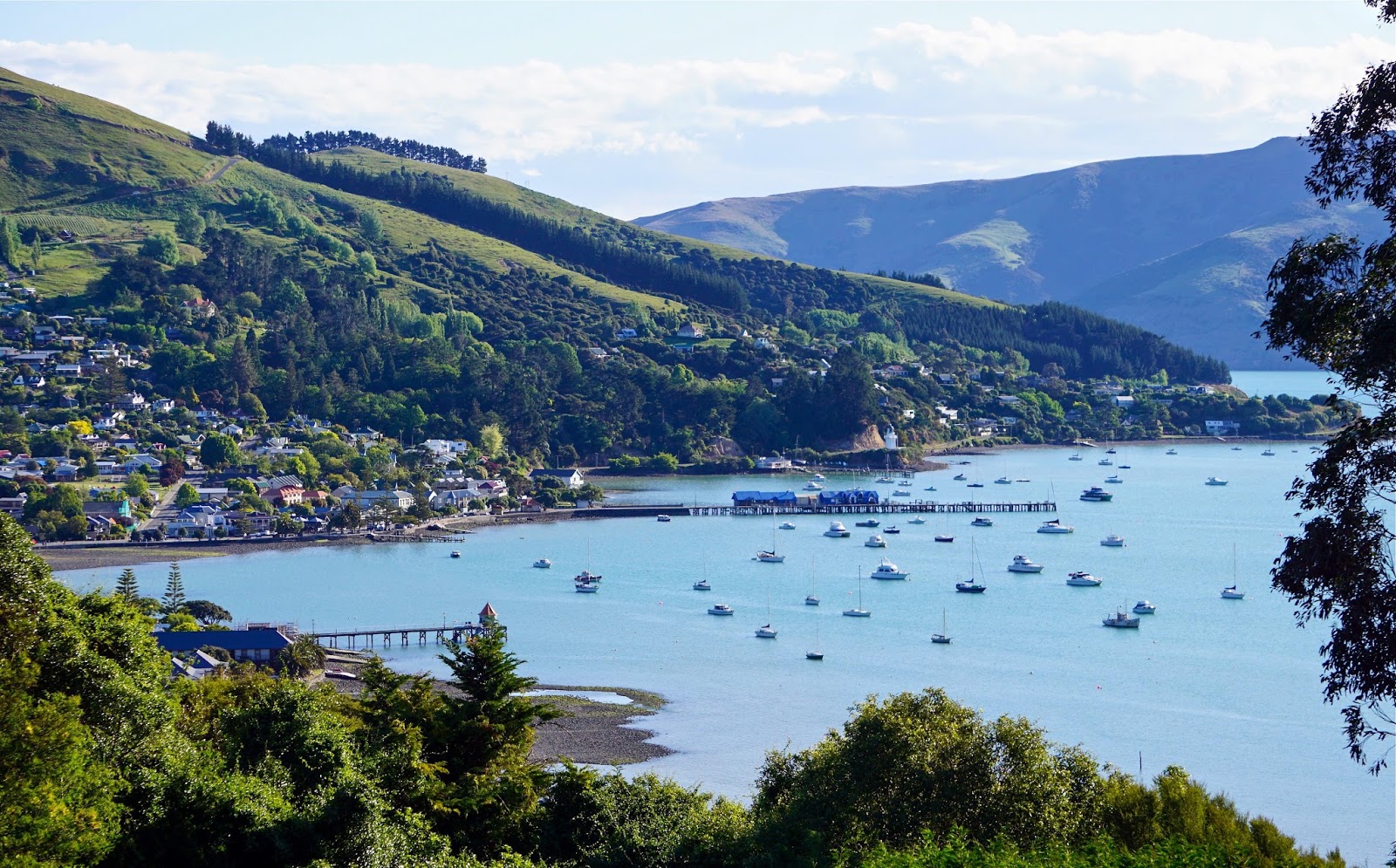 Along for the ride Akaroa, New Zealand