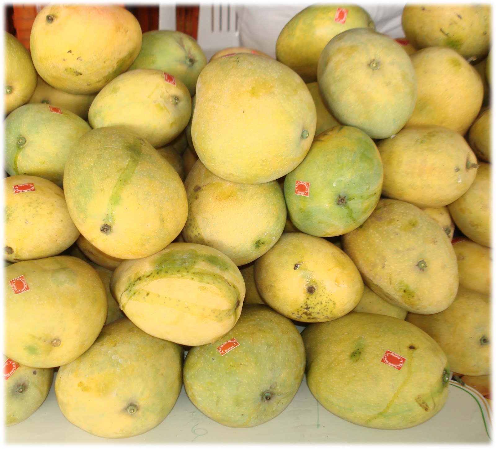INDIAN MANGO VARIETIES