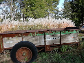 Ollie's Wagon.