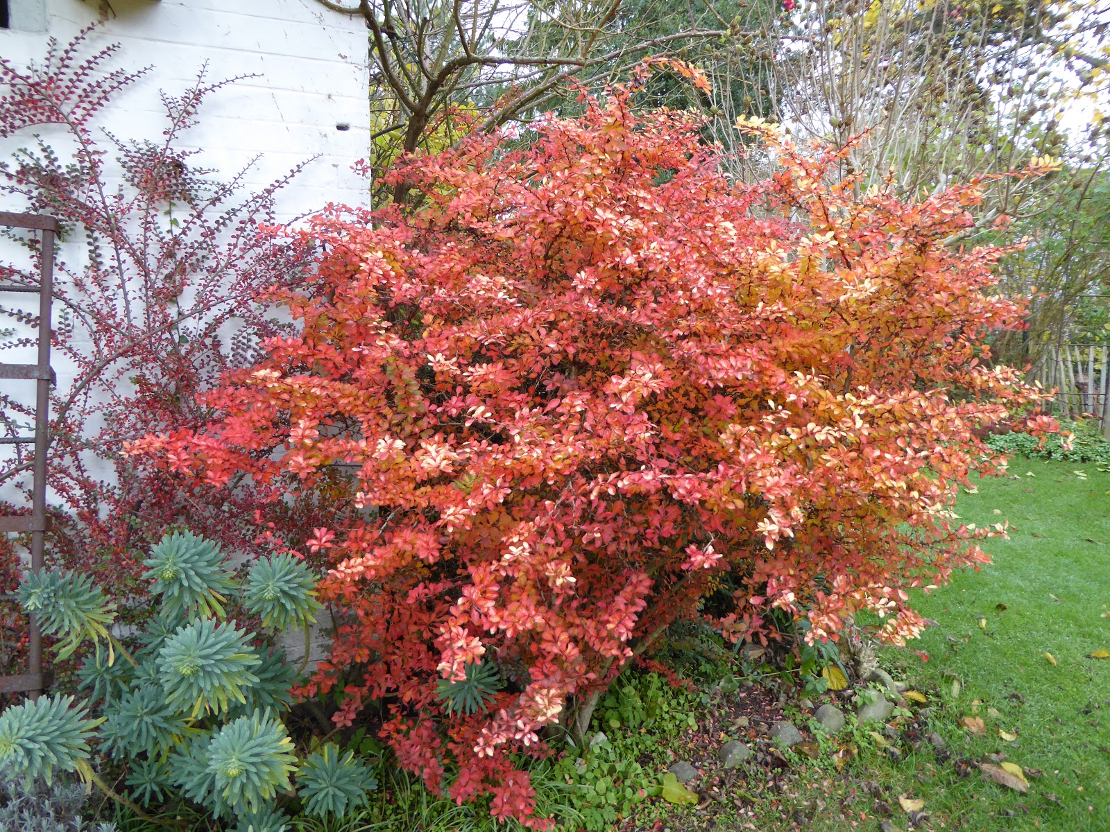 Il Etait Un Petit Jard Ain Il En Faut Peu