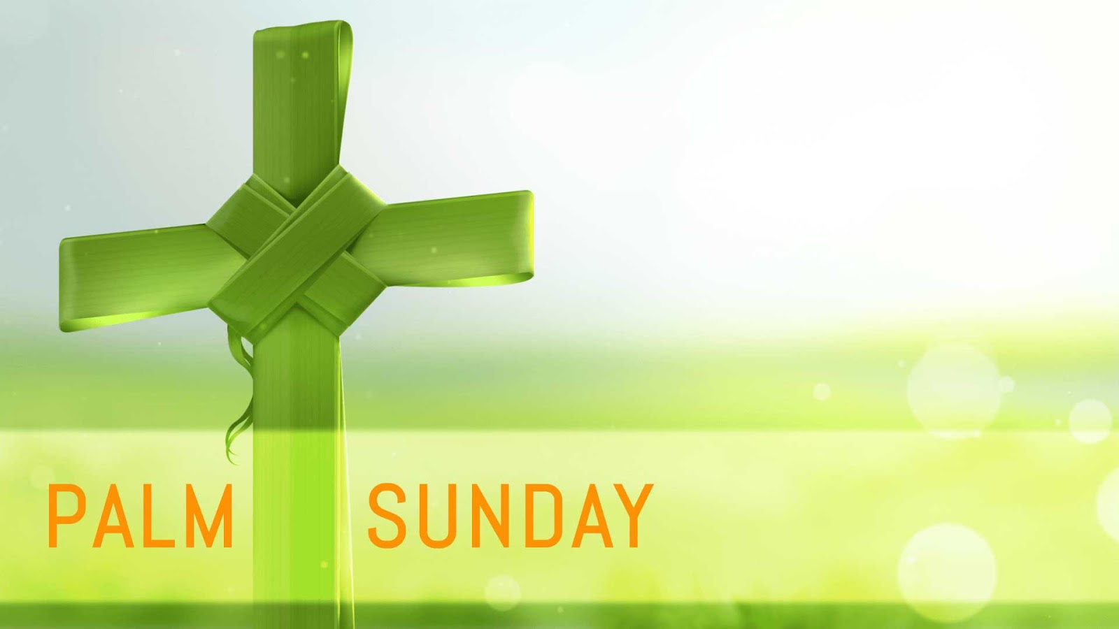 Palm Sunday pictures 2016 (3)