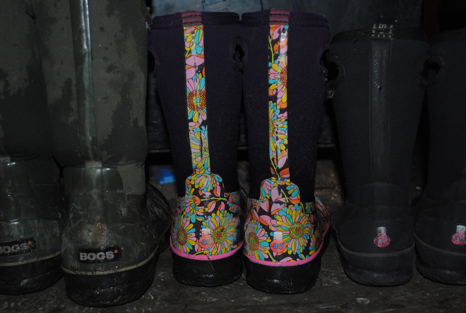 bogs riding boots