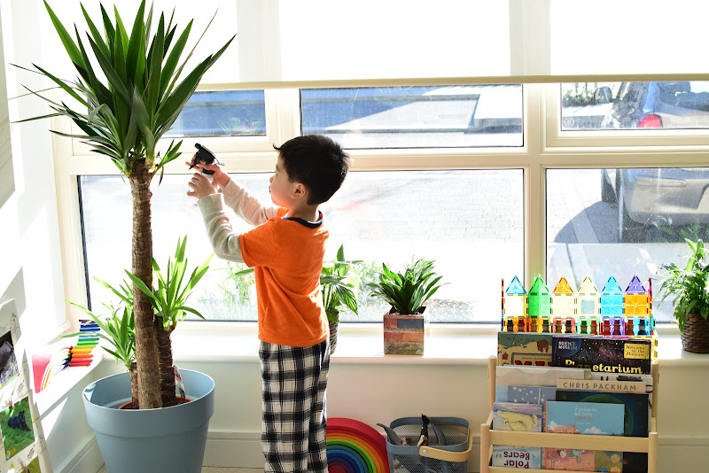 Montessori Practical Life: Indoor Plant Care in Winter