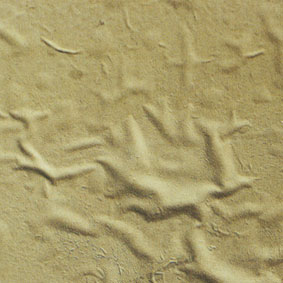 [Image: mang-son-bi-nhan.jpg]