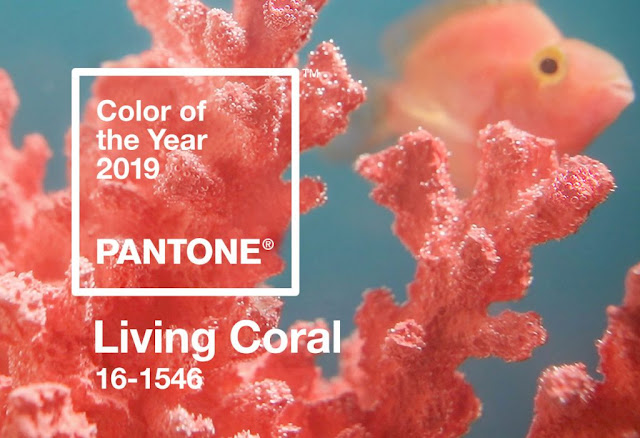 Living Coral, Color Pantone del 2019