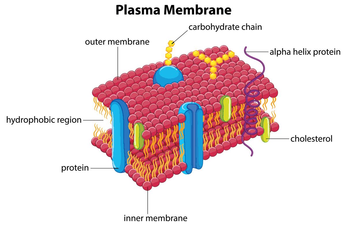 Biology 11 Biology 11