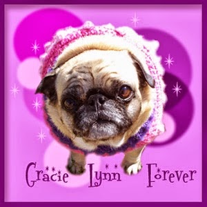 Run Free Gracie Lynn