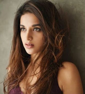 Nidhhi Agerwal Family Husband Son Daughter Father Mother Marriage Photos Biography Profile.