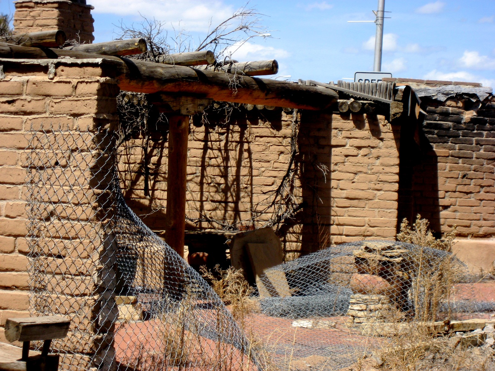 Living Rootless Cuba, New Mexico Antlers, "Bunker" Lane, and