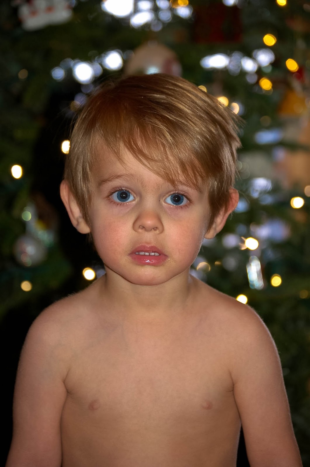 The Buddy Bee Makes Three Buddy Bee Is A 29 Month Old Bee the-buddy-bee-makes-three-buddy-bee-is-a-29-month-old-bee