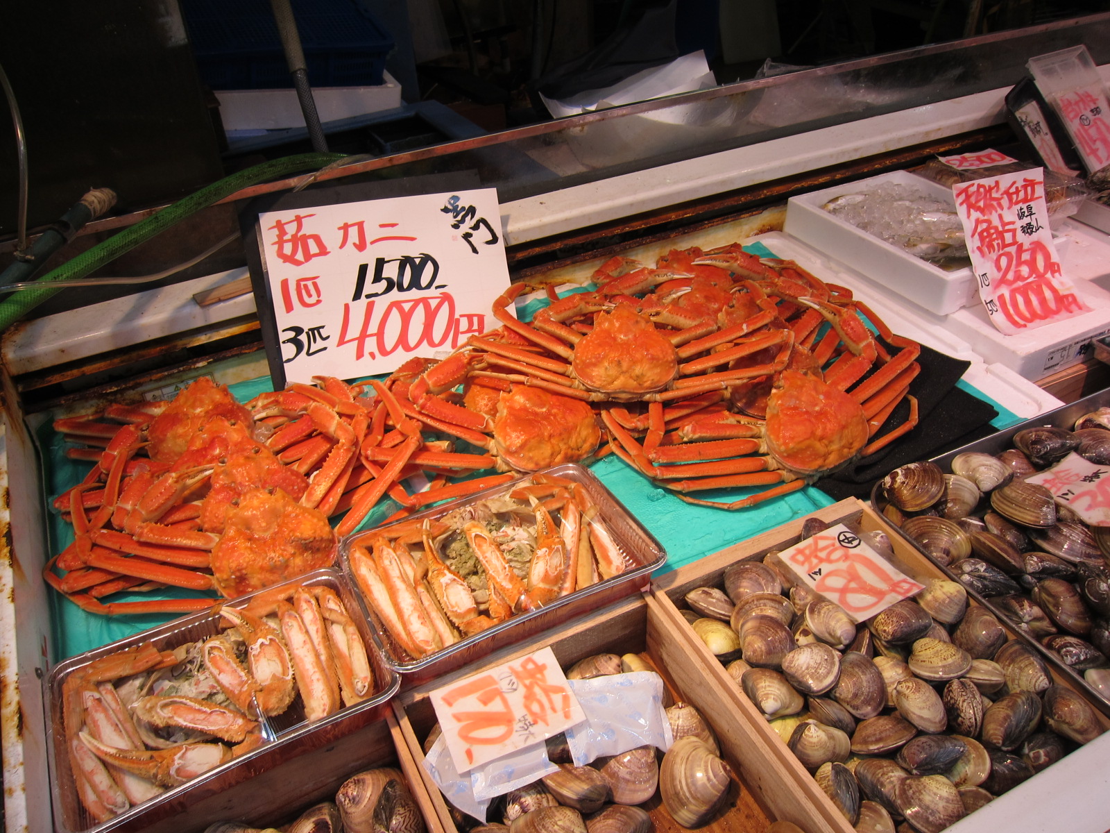 OSAKA DAY 2 OSAKA CASTLE, KUROMON