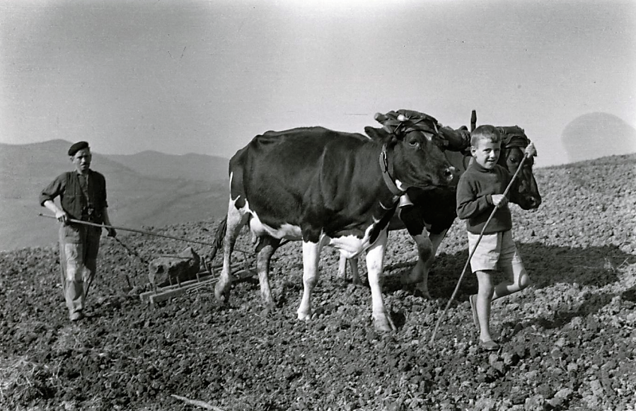 The Beret Project Child Labour in Asturias