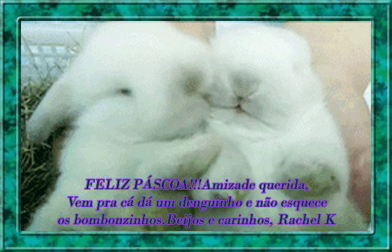 bunnies1.2.gif..gif