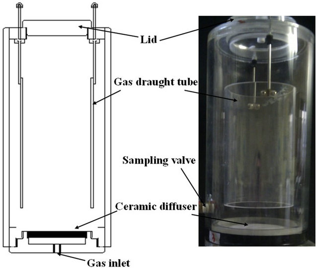 Yeast Extract Project Airlift fermenter models