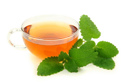 μελισσόχορτο lemon balm