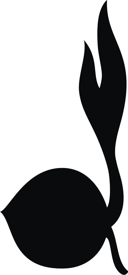 Logo Gerakan Pramuka Indonesia - Free Vector CDR - Logo ...