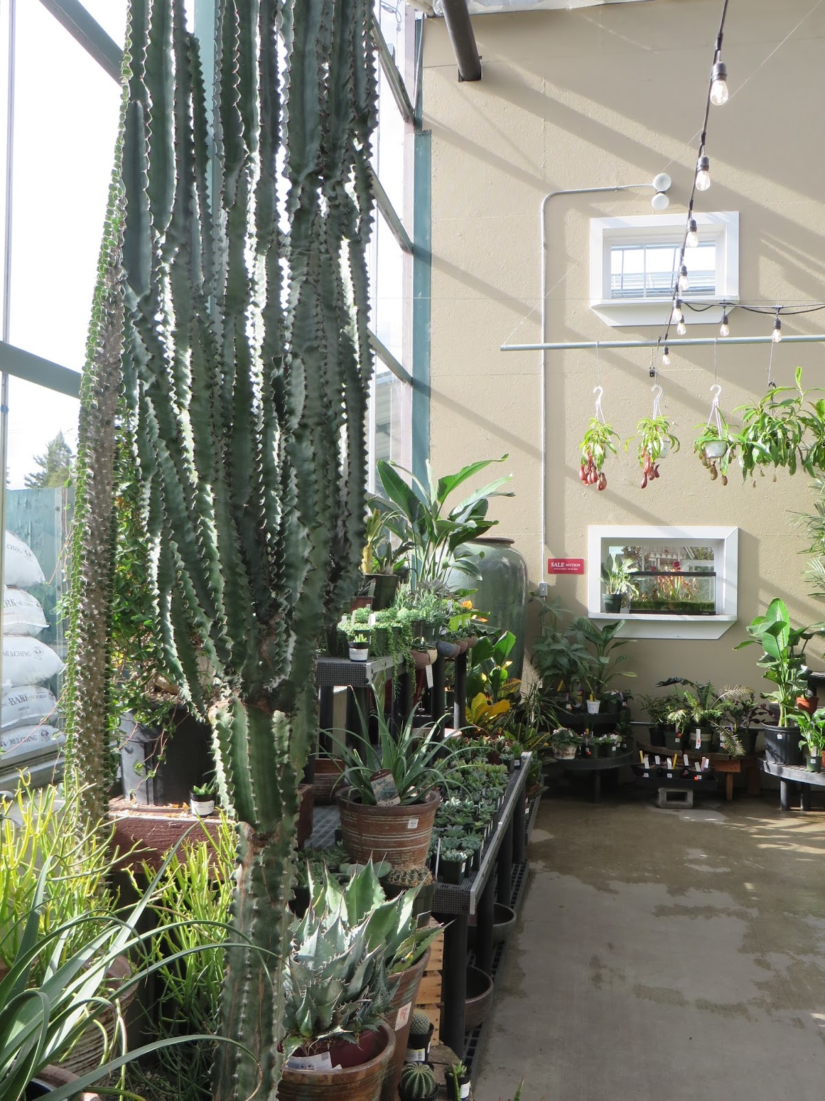 Nursery Visit Sky Nursery Seattle