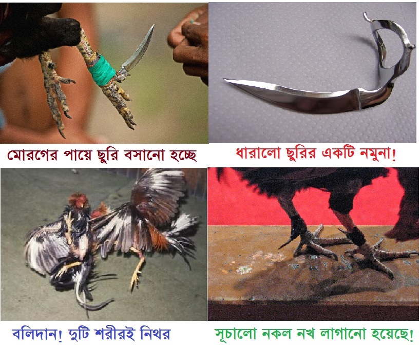 Etti kishilik er-xotin bilan jinsiy aloqa, Kireyadan yetti kishilik juftlik bilan tanishing