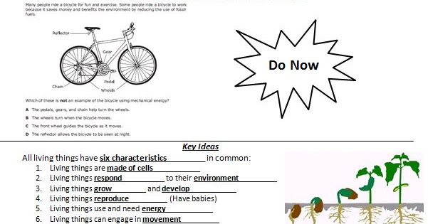 Mr. Miller Courageous Scientists: Unit 7 Biology Day 8