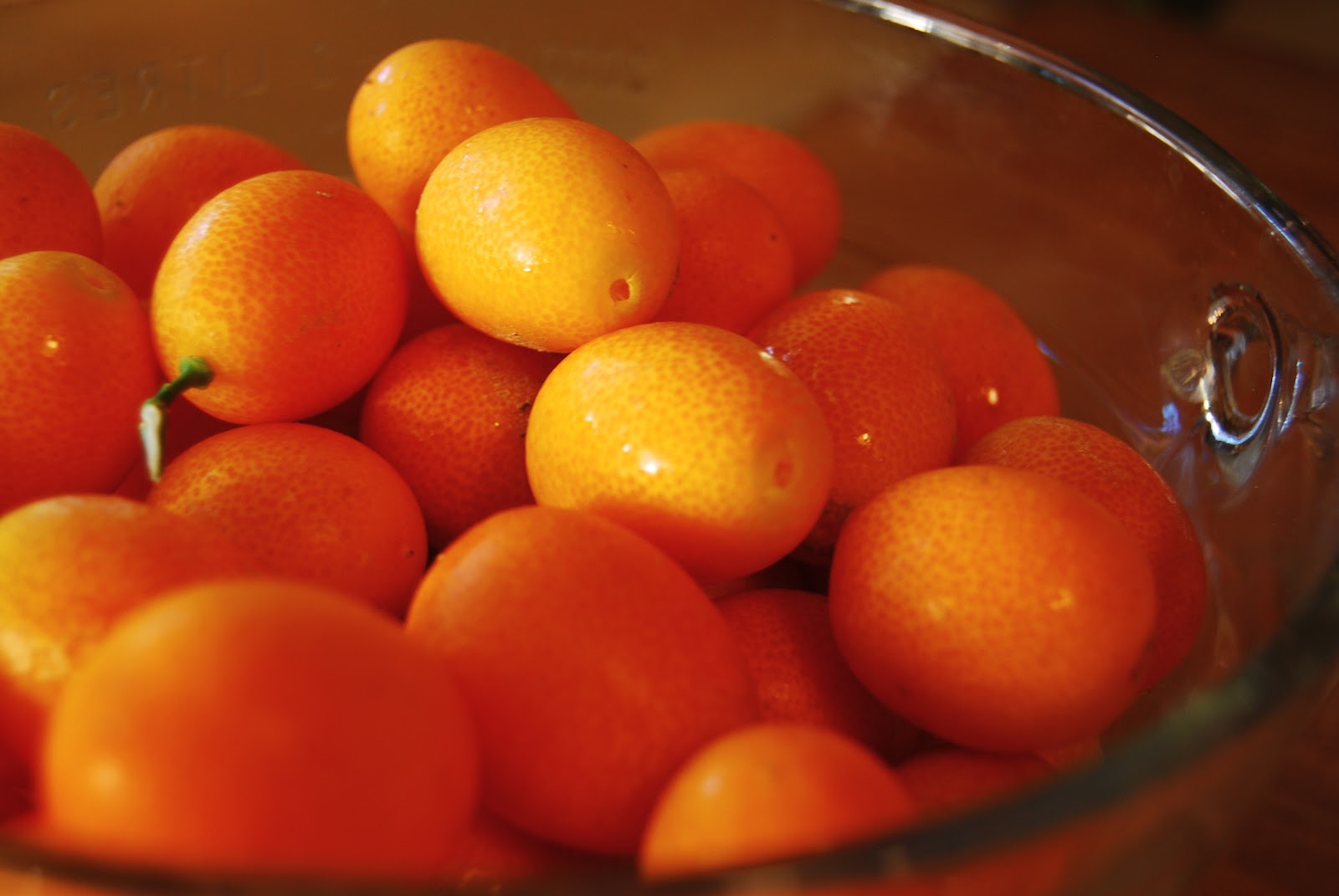 Califrench Cuisine Chocolate Covered Candied Kumquats