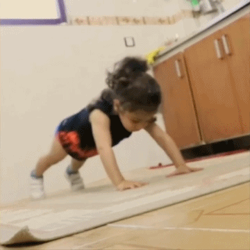 5.gif