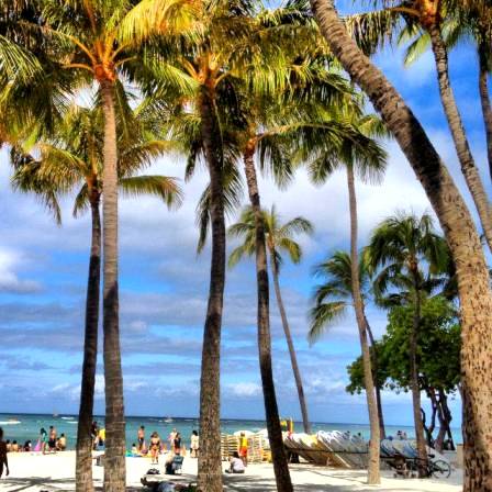 Waikiki Beach Hawaii (Best Honeymoon Destinations In USA)