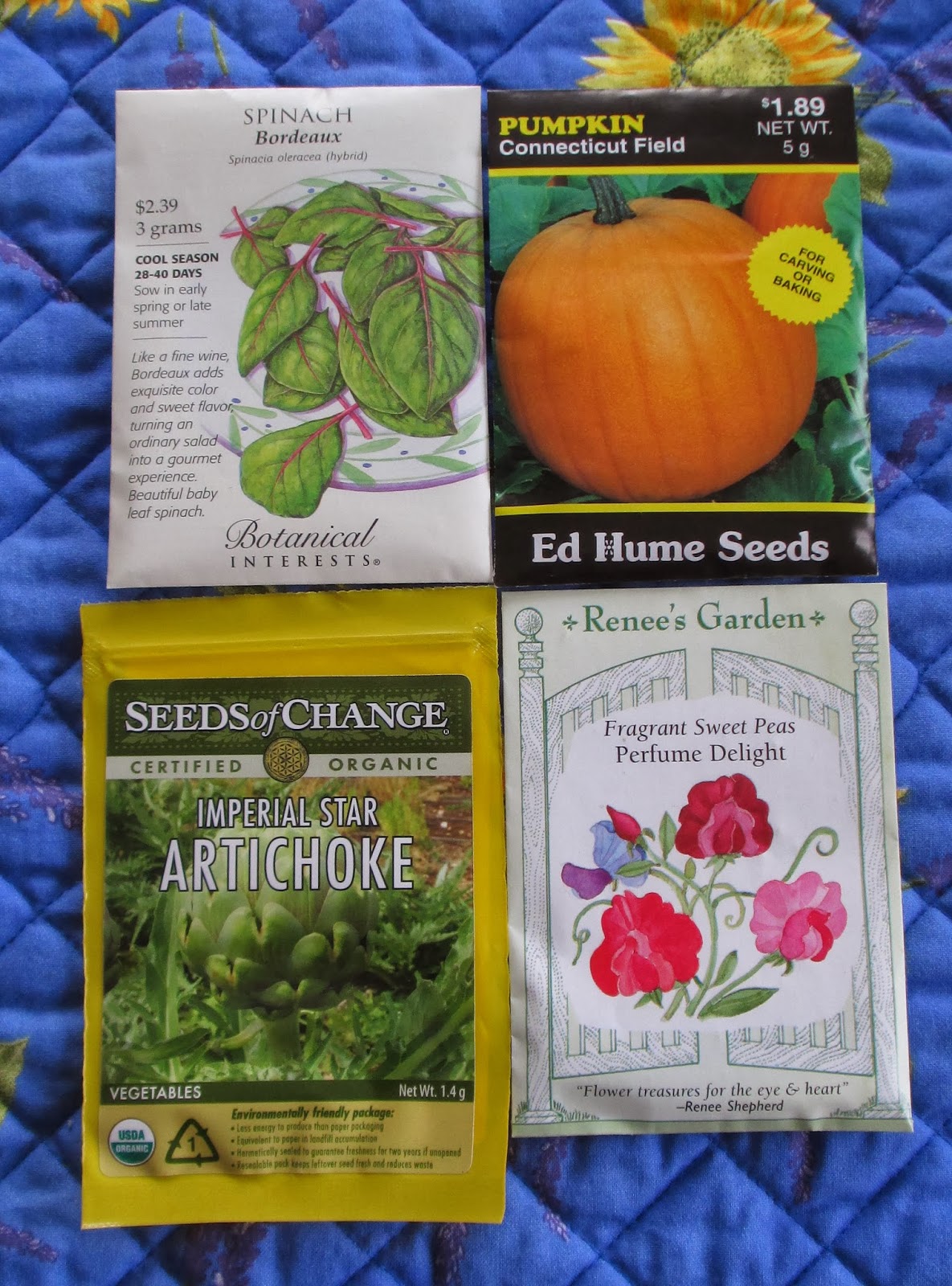 Seed sources Susan's in the Garden