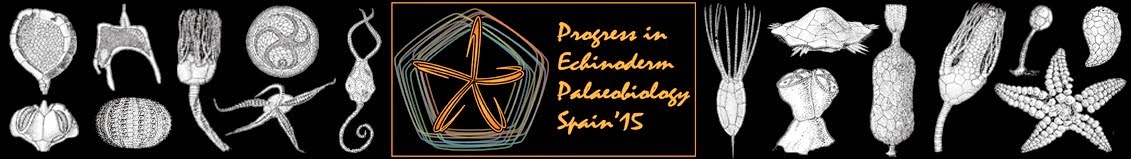 PROGRESS IN ECHINODERM PALAEOBIOLOGY