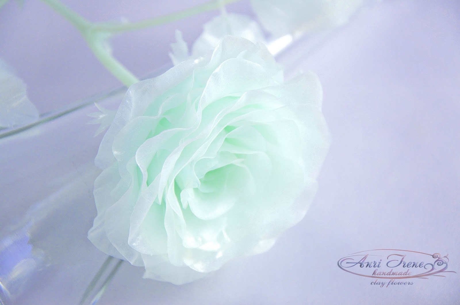 Прозрачное Фото Роза