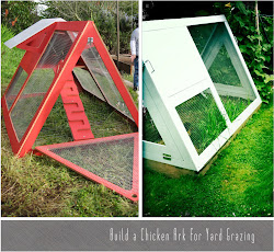 chicken coop for 16 chickens 6