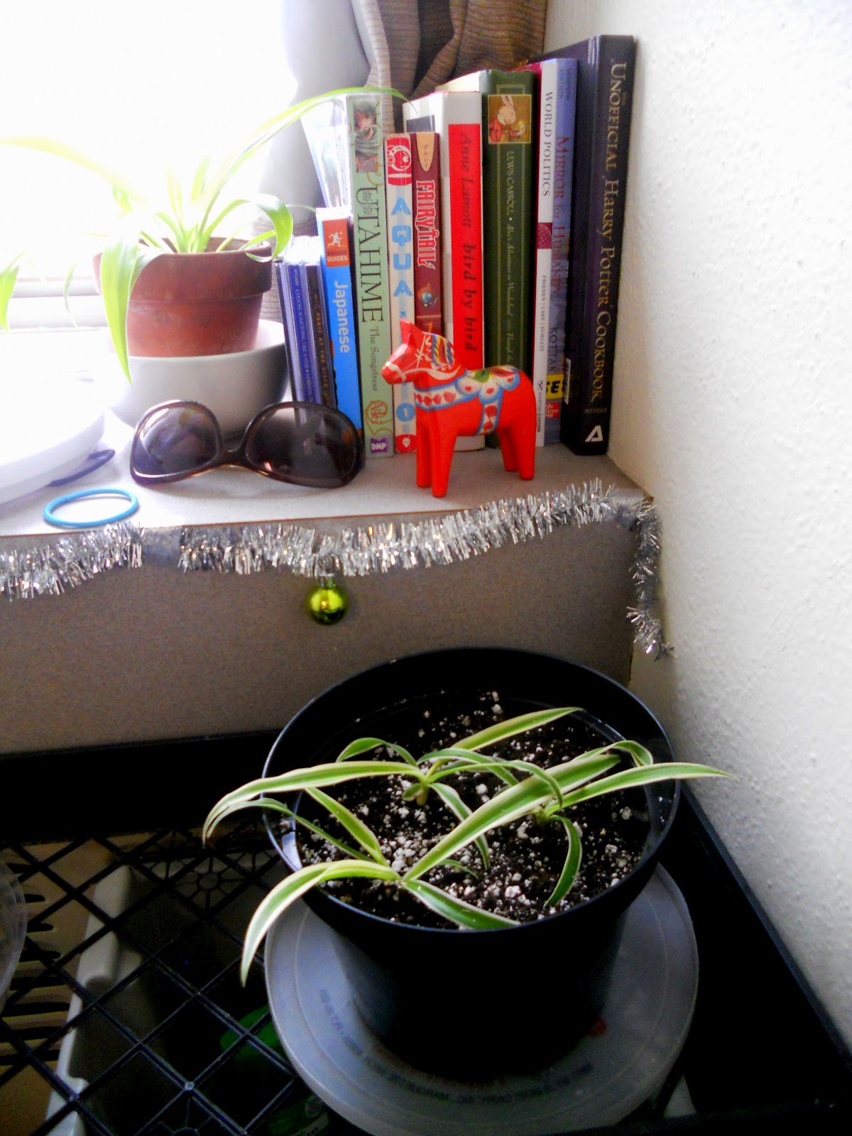 The College Gardener Let�s Start Out Easy Propagating