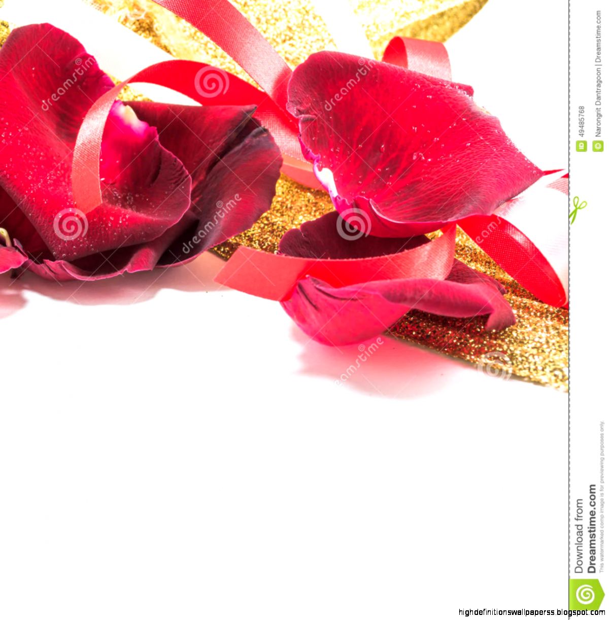 Red Rose On White Background Valentines Day Background Stock Photo