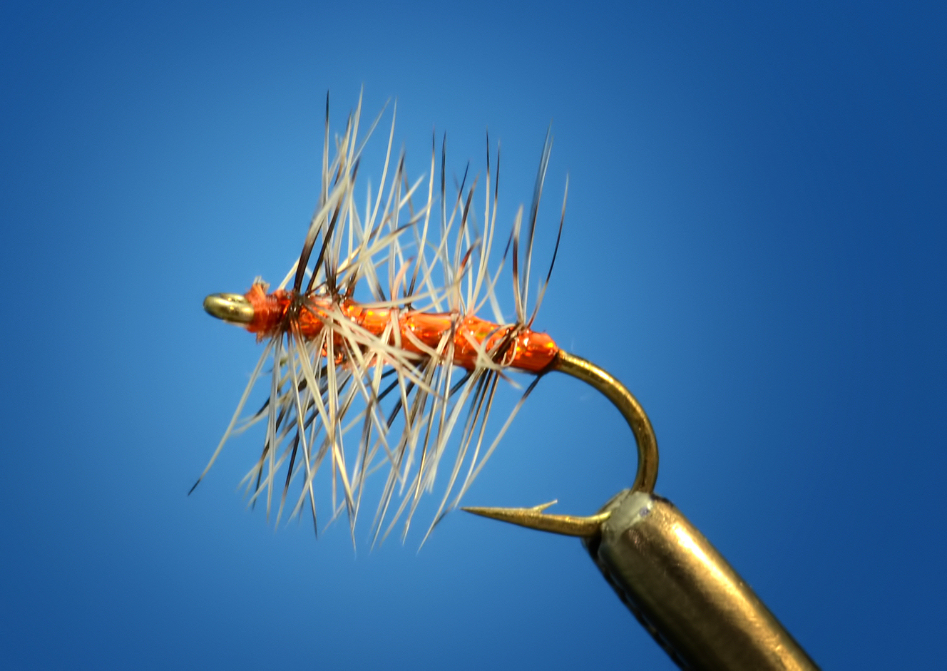 The Spring Trout Primer Fly Fish Food