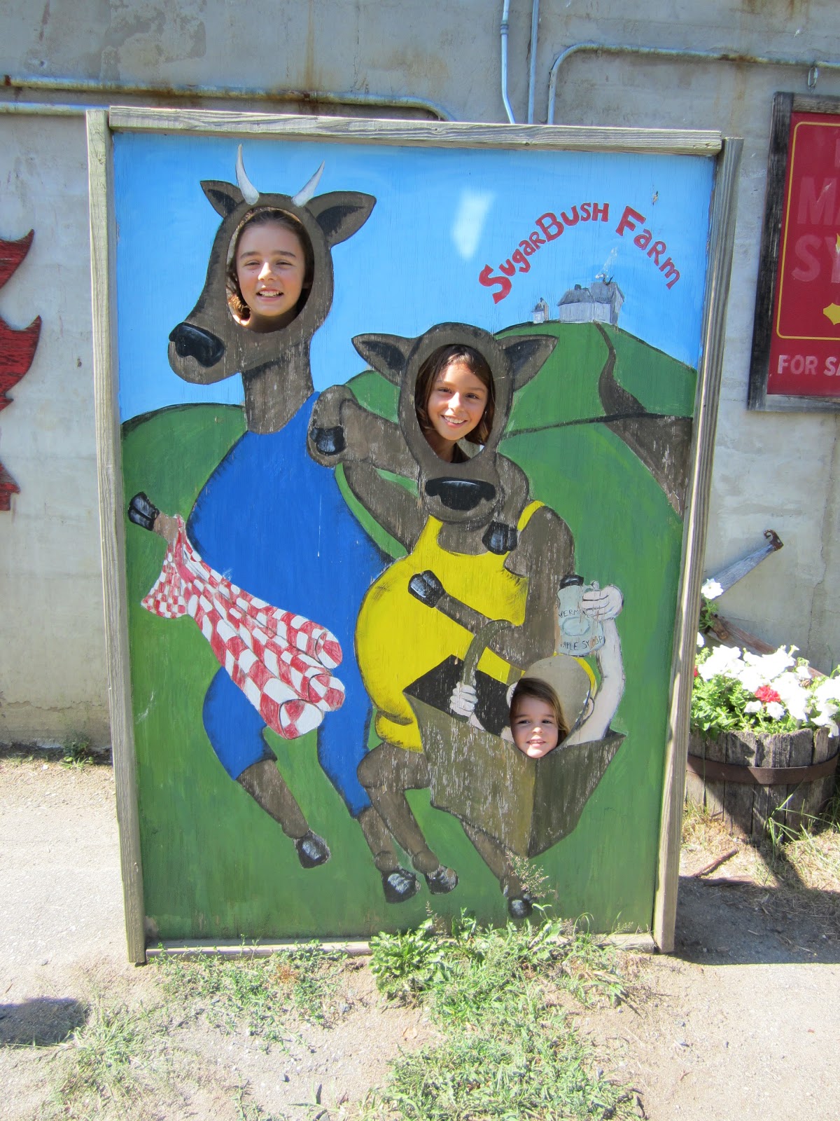 Wherever the Road Leads Best Museum, Zoos, and Tours