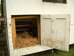hen coop cluckingham palace story visit fashioned coops