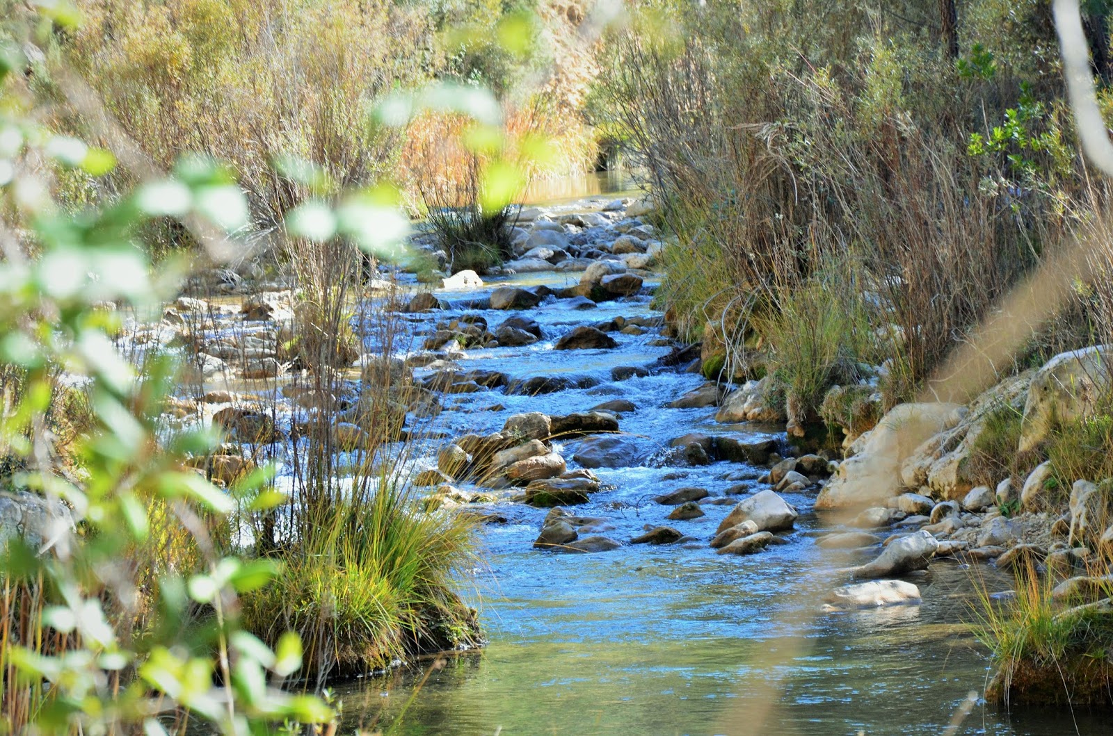 GACHAMIGA Y LAS SIERRAS DE CAZORLA, SEGURA Y LAS VILLAS