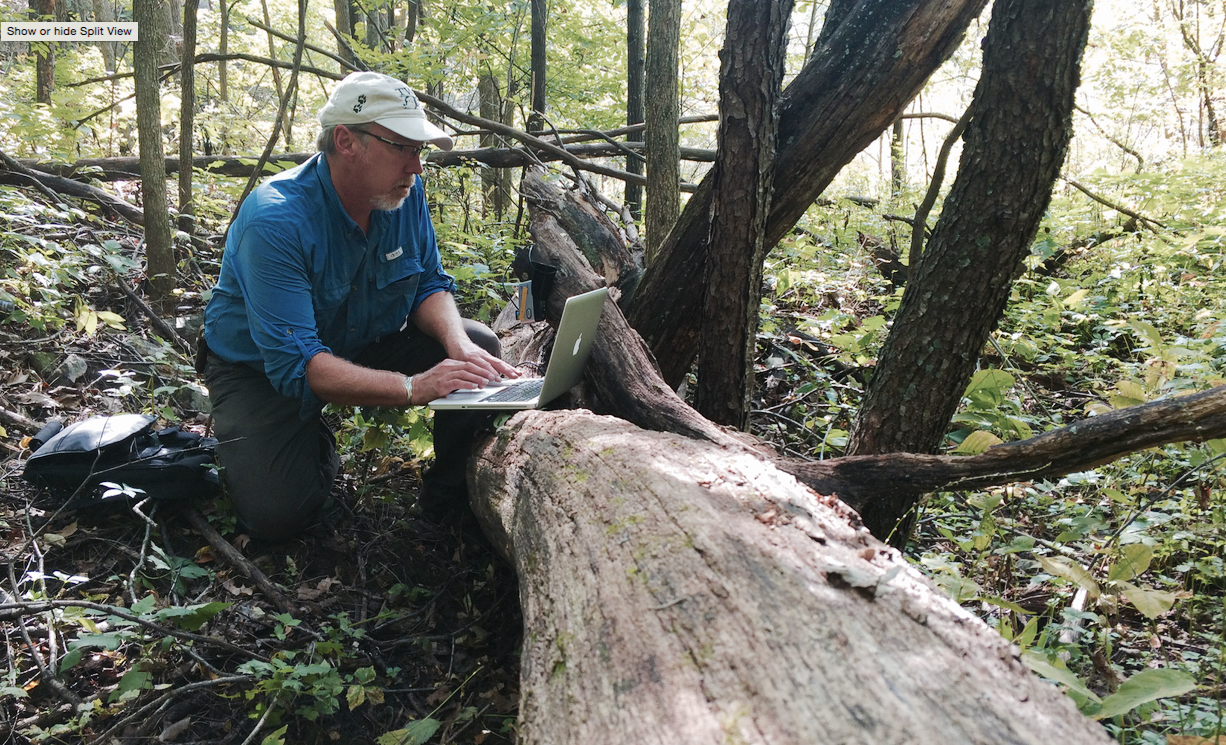 Wildlife Technician: Wildlife Technician