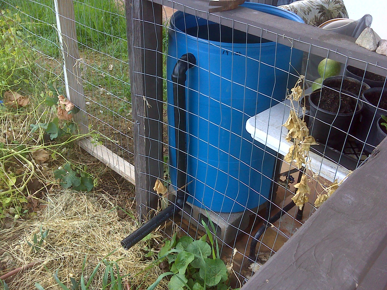 BOOYAH FARM!!!: Rain Barrel Update