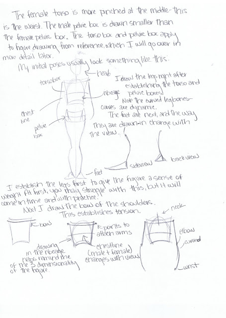 Very Basic Anatomy/Figure Drawing