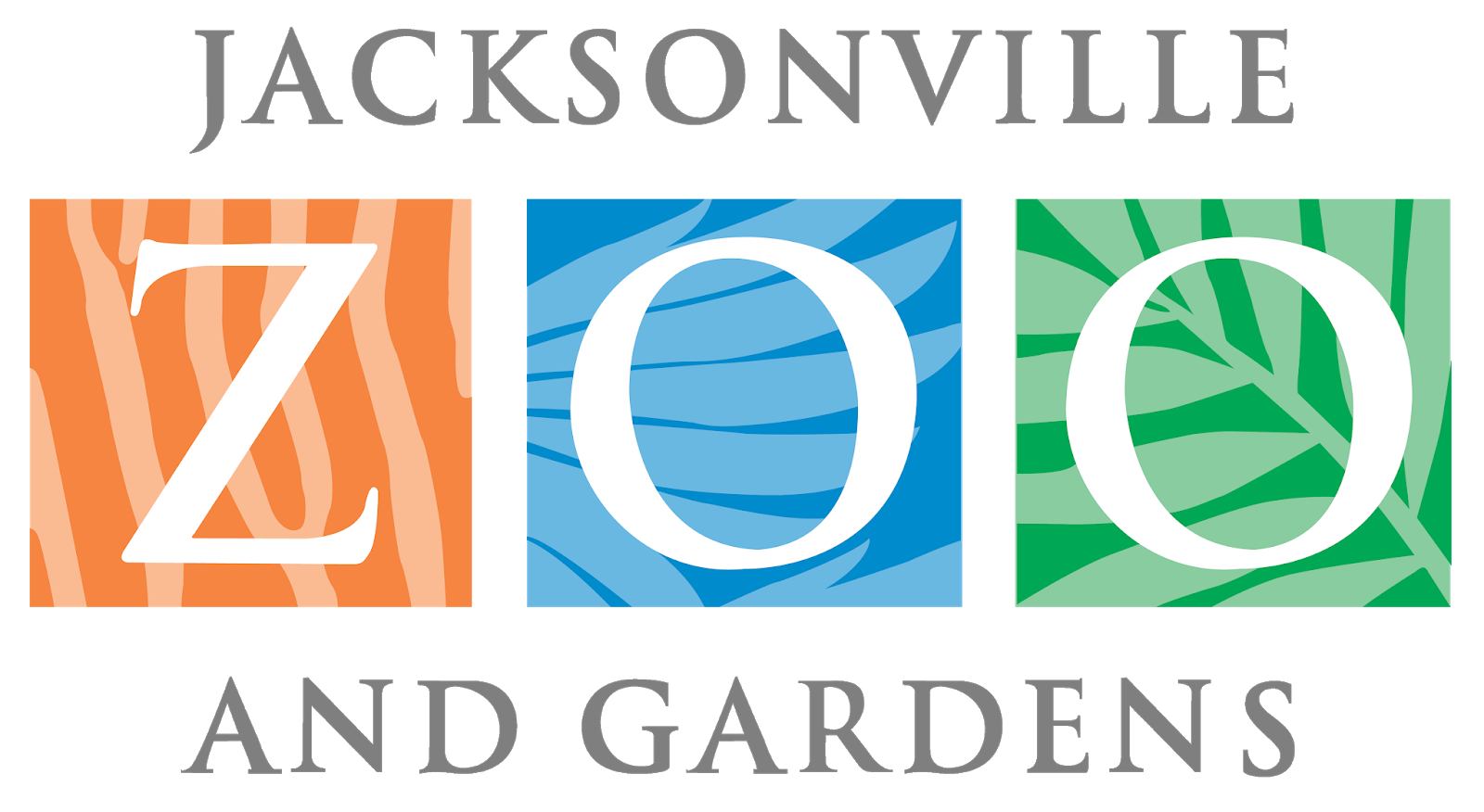 Renewed Swallowtailed Kite tracking in Jacksonville, Florida