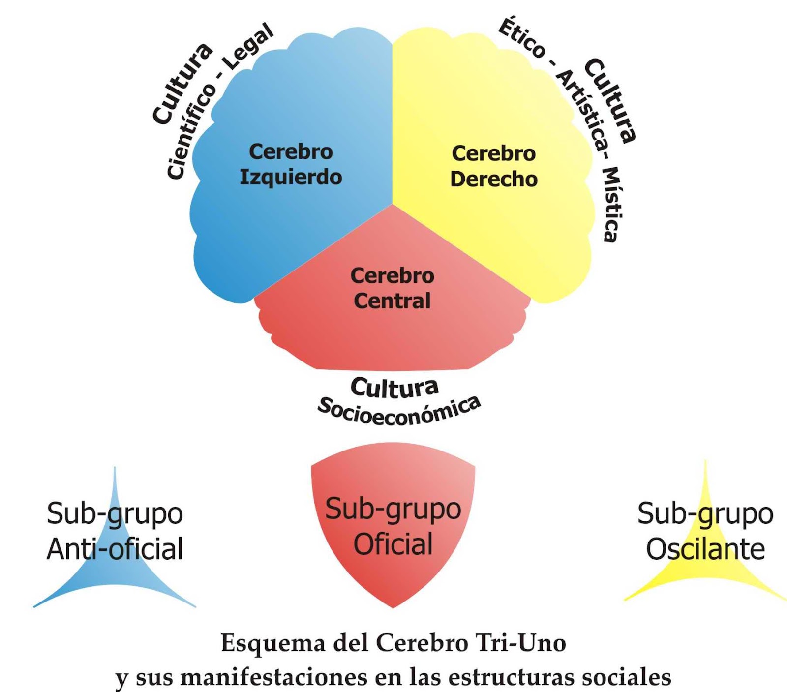 FUNDAMENTOS DE LA COMUNICACIÓN CEREBRO TRIUNO, DIVISIONES, CONCEPTOS, GRAFICOS FUNDAMENTOS DE LA COMUNICACIÓN CEREBRO TRIUNO, DIVISIONES, CONCEPTOS, GRAFICOS