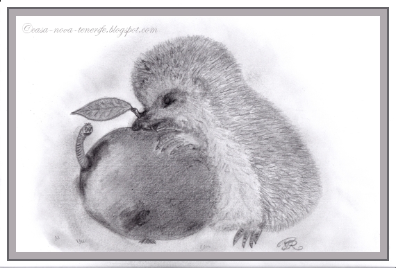 Hintergrundbilder : igel, schüssel, milch 1920x1200 Alles rund um Teneriffa und Casa Nova: Montagsmaler-Igel (auf Tenerife)