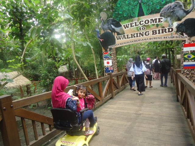 http://renidwiastuti.com/2018/01/eco-green-park-wisata-edutainment.html