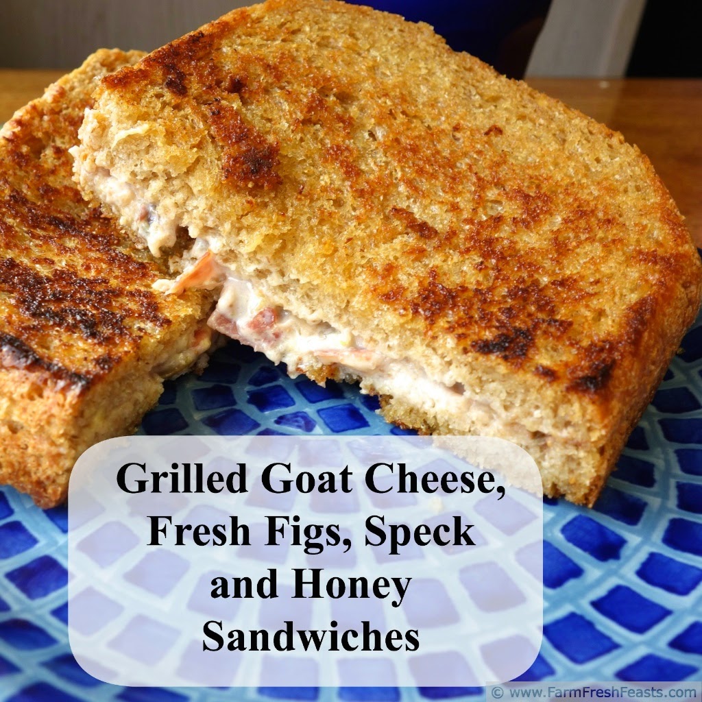 Farm Fresh Feasts Grilled Goat Cheese, Fresh Fig, Speck and Honey