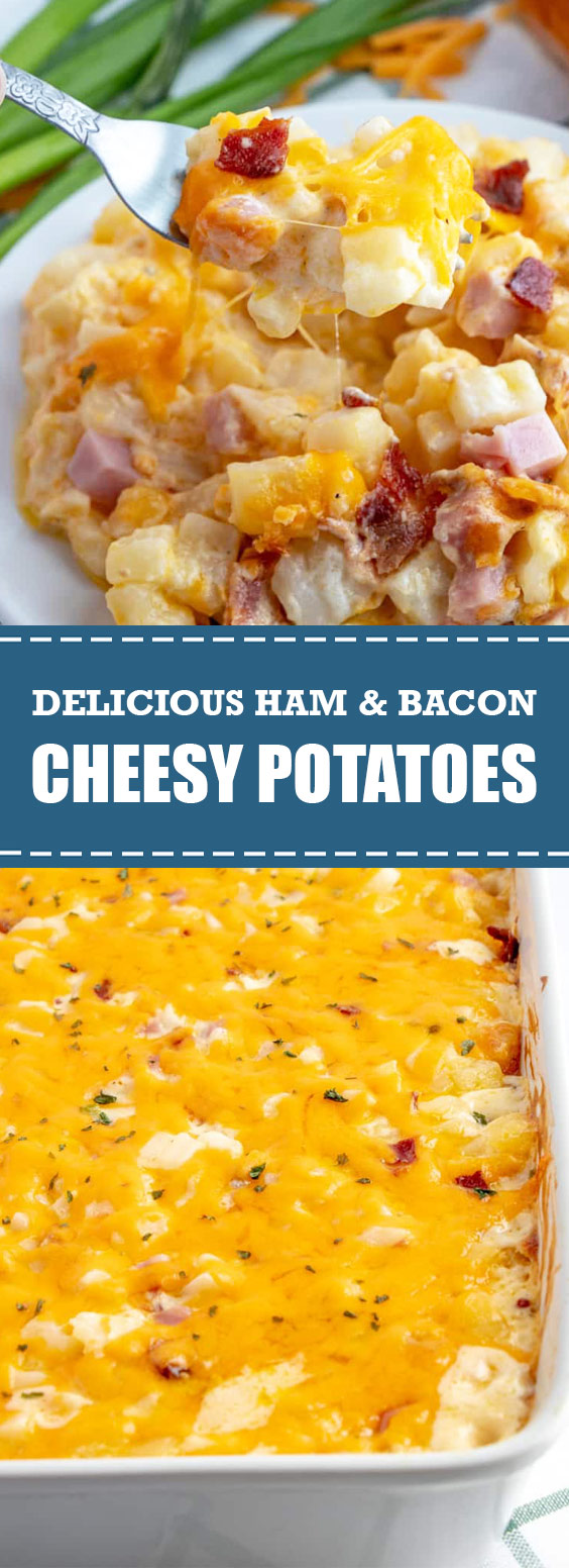 Delicious Ham & Bacon Cheesy Potatoes - FOOD RECIPES