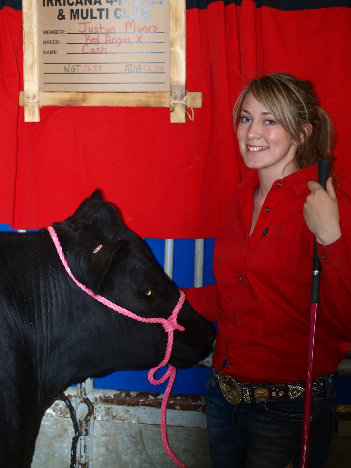 How Much Is A Cow Worth Nz at Jerry Brodeur blog