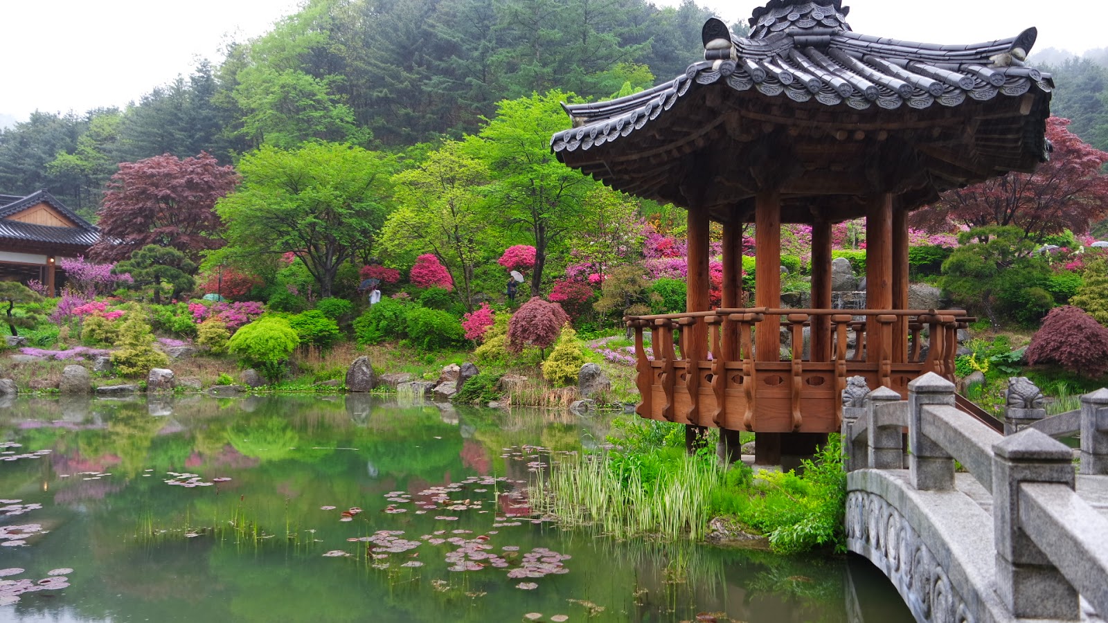 Garden of Morning Calm Gapyeong, Korea