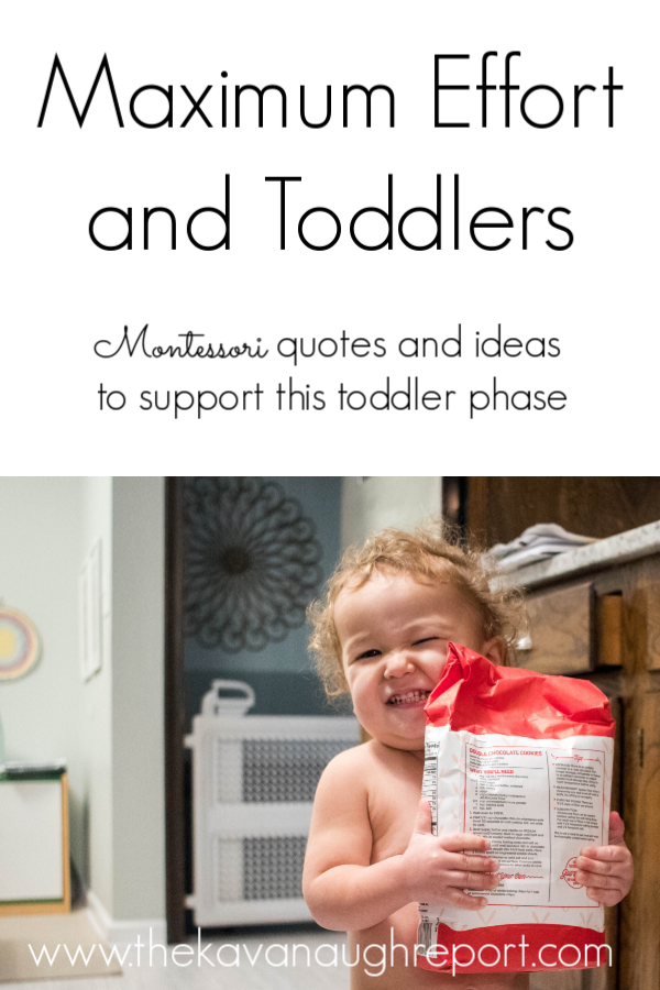 Quotes and ideas about maximum effort for toddlers from Maria Montessori