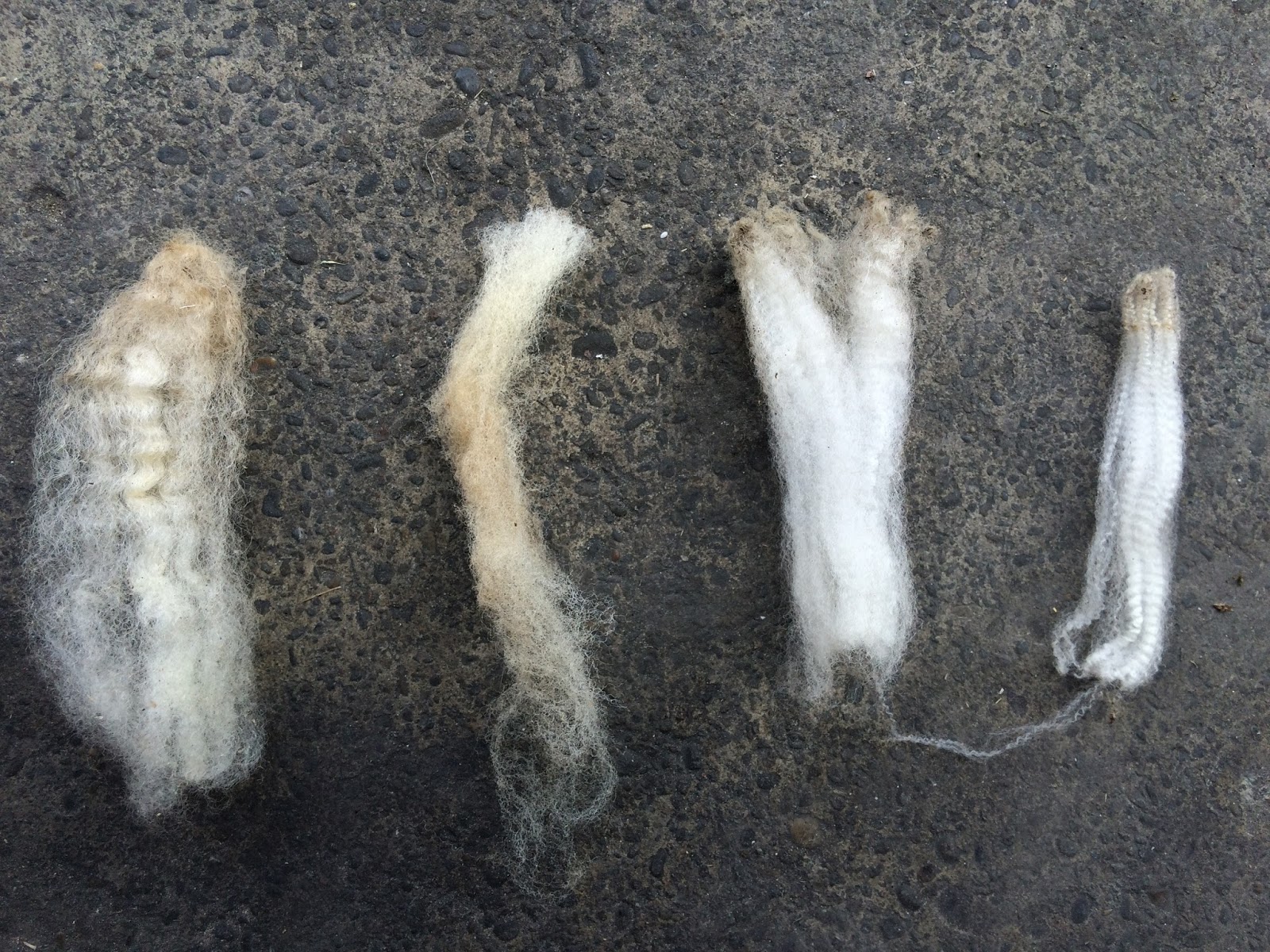 Jeremy Stanford / Tezla Shoes Mr WoolsNew Zealand raw wool trader